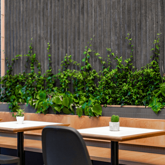 A table with a small plant on top is in focus while big green plants are in the background against a grey wall