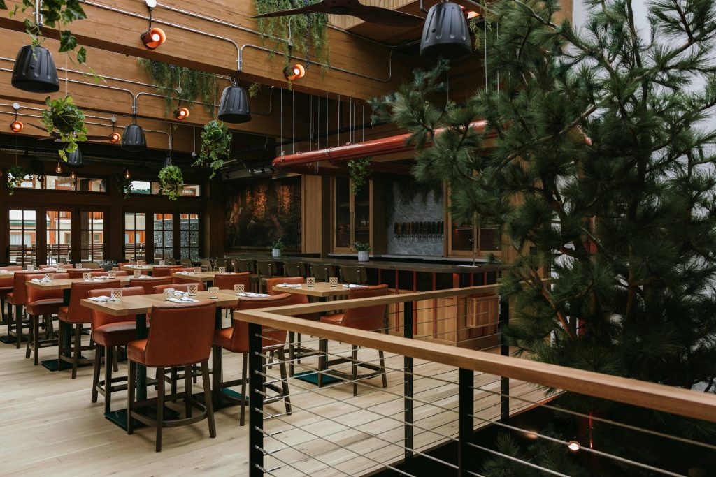 Leather chairs that are surrounding set wooden dining tables are next to a fenced off area holding a giant pine tree